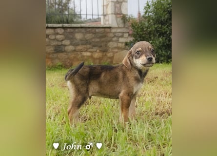 John und Jim suchen ab Dezember ein Zuhause