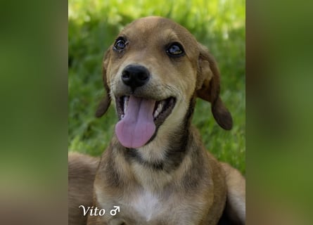 Update: nur noch ein Kokoni sucht ein Zuhause ab August