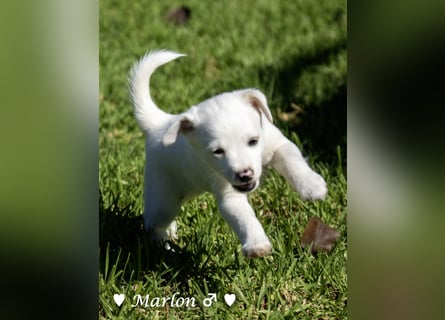 Maisy, Markus, Marlon und Marlow suchen ihre Familie