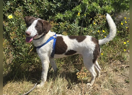 Befanino: er liebt Menschen über alles