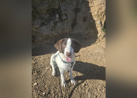 Befanino: er liebt Menschen über alles