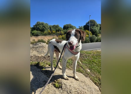 Befanino: er liebt Menschen über alles