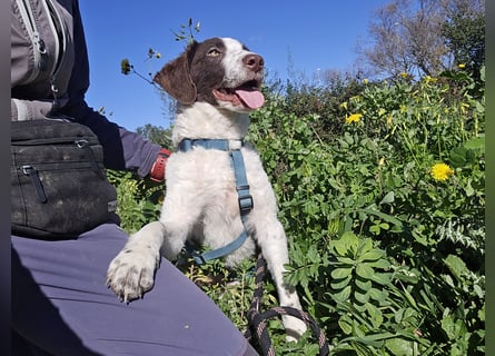 Befanino: er liebt Menschen über alles