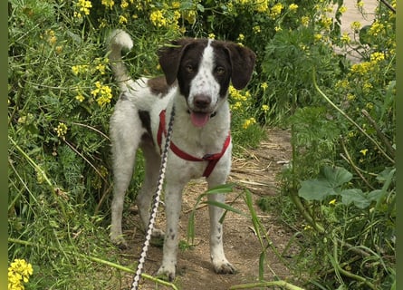 Befanino: er liebt Menschen über alles