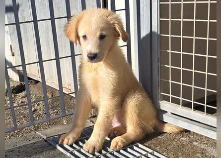 Nacho: endlich leben