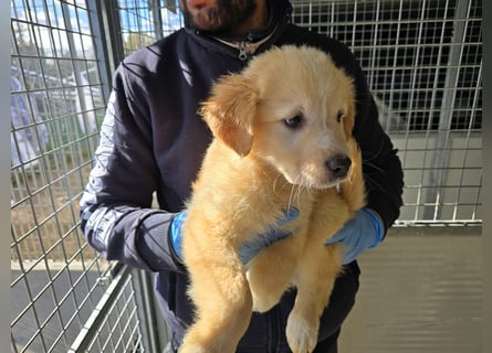 Nacho: endlich leben