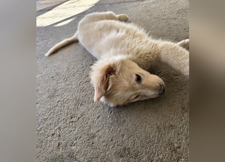 Nacho: endlich leben