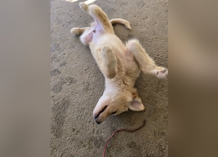 Nacho: endlich leben