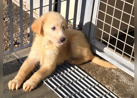 Nacho: endlich leben