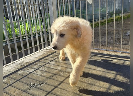 Naira und Norma - vom Flughafen ins schöne Leben