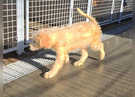 Naira und Norma - vom Flughafen ins schöne Leben