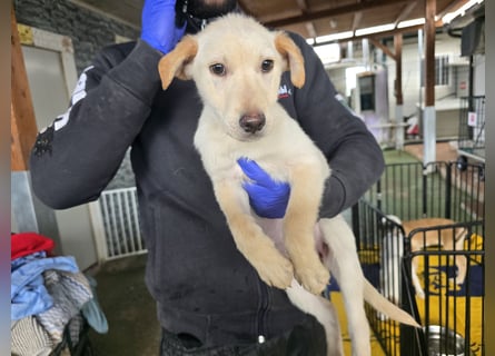 Festa: Hallo, hier bin ich!