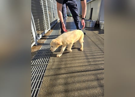 Naira und Norma - vom Flughafen ins schöne Leben