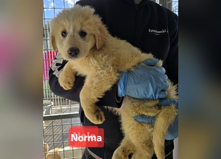 Naira und Norma - vom Flughafen ins schöne Leben