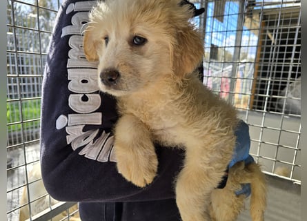 Naira und Norma - vom Flughafen ins schöne Leben