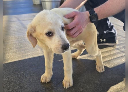 Naira und Norma - vom Flughafen ins schöne Leben