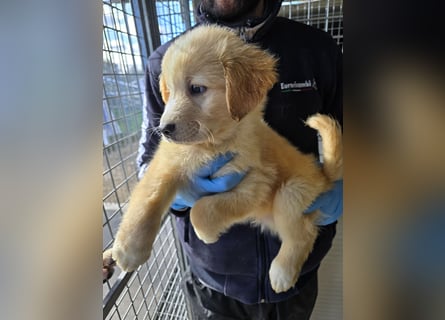 Nelson: vom Flughafen ins schöne Leben