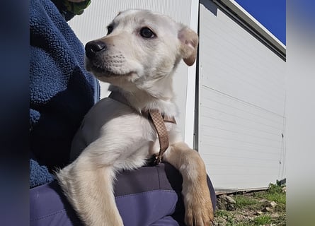 Festa: Hallo, hier bin ich!