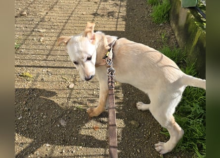 Festa: Hallo, hier bin ich!