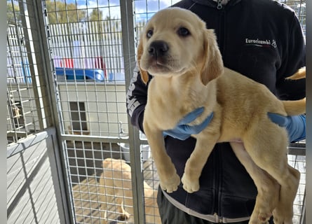 Naira und Norma - vom Flughafen ins schöne Leben