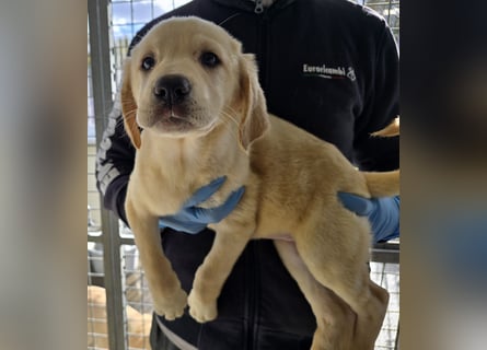 Naira und Norma - vom Flughafen ins schöne Leben