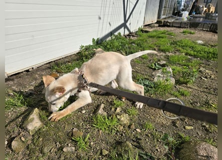 Festa: Hallo, hier bin ich!