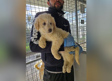 Naira und Norma - vom Flughafen ins schöne Leben