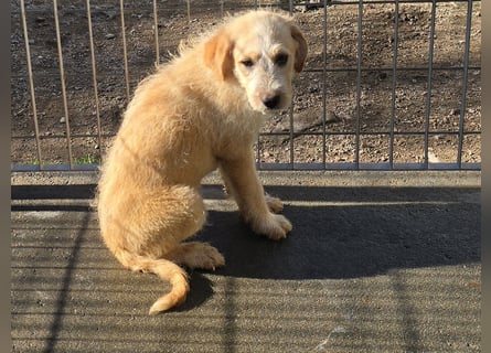 Nele und Noura: vom Flughafen ins schöne Leben