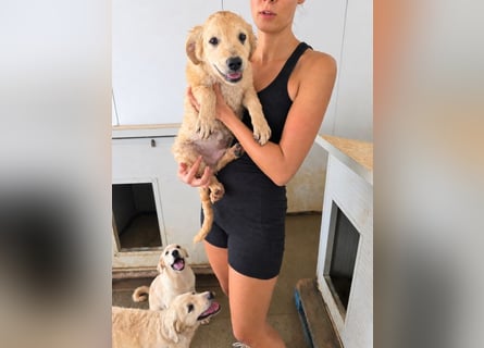 Gino: wer will mit mir spielen und kuscheln