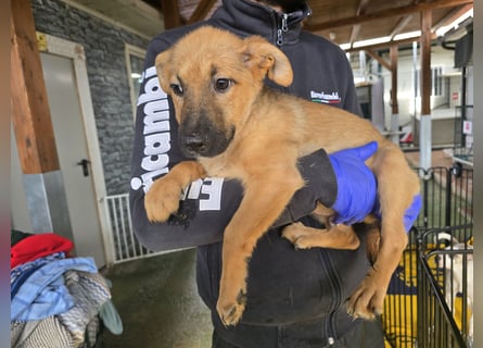 Fritz: er liebt das Leben