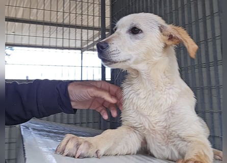 Fiamma: Hallo, hier bin ich!