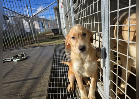 Nele und Noura: vom Flughafen ins schöne Leben