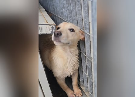 Fiamma: Hallo, hier bin ich!