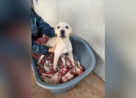 Fiamma: Hallo, hier bin ich!