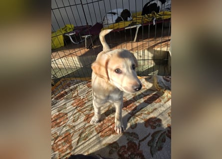 Emanuela: Spaß und gute Laune garantiert