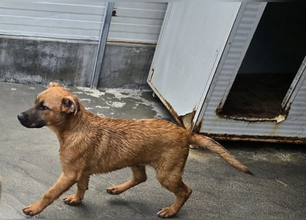 Fritz: er liebt das Leben