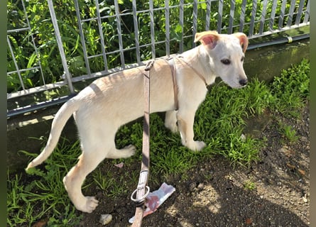 Fiamma: Hallo, hier bin ich!