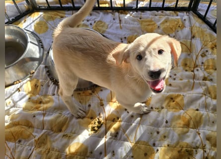 Emanuela: Spaß und gute Laune garantiert