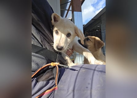 Emanuela: Spaß und gute Laune garantiert