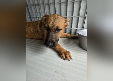 Fritz: er liebt das Leben