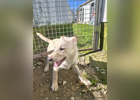 Fiamma: Hallo, hier bin ich!