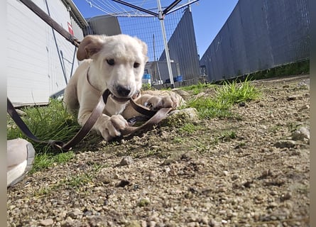 Fidor: Hallo, hier bin ich!