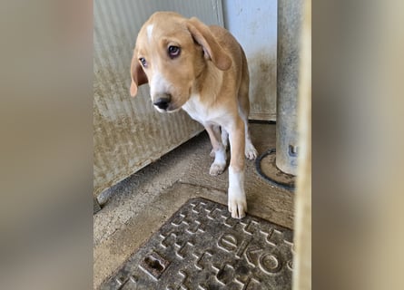 Noura und Nele: vom Flughafen ins schöne Leben