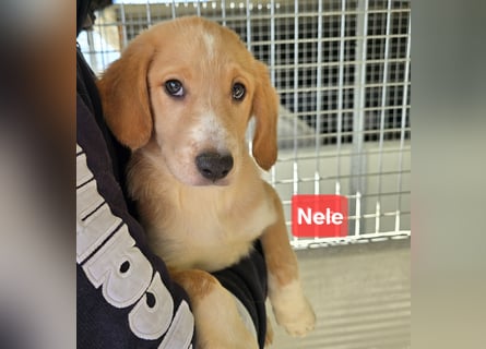 Nele und Noura: vom Flughafen ins schöne Leben