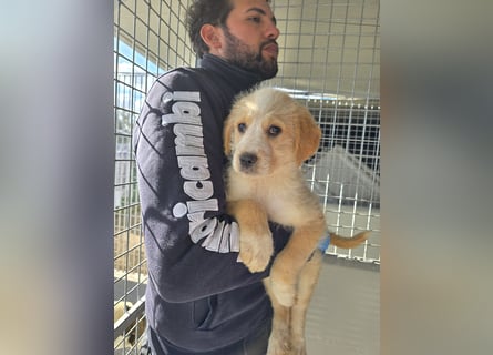 Nele und Noura: vom Flughafen ins schöne Leben