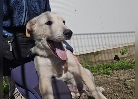 Fidor: Hallo, hier bin ich!