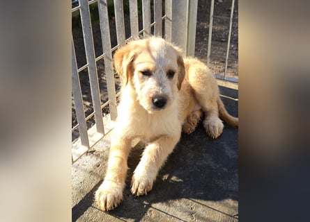 Nele und Noura: vom Flughafen ins schöne Leben