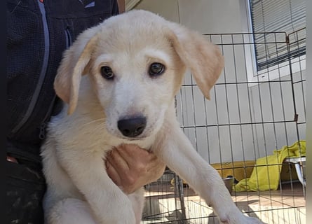 Emanuela: Spaß und gute Laune garantiert