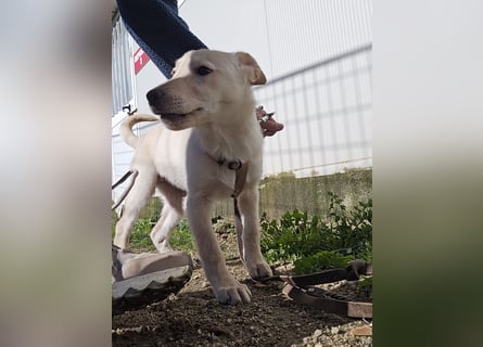 Fiamma: Hallo, hier bin ich!