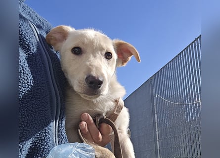 Fiamma: Hallo, hier bin ich!